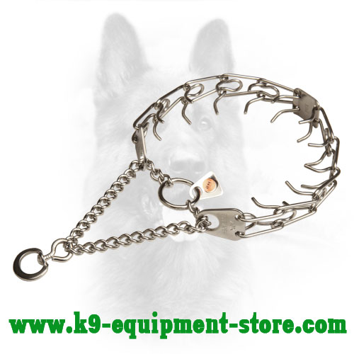 Canine Prong Collar Stainless Steel with Removable Links