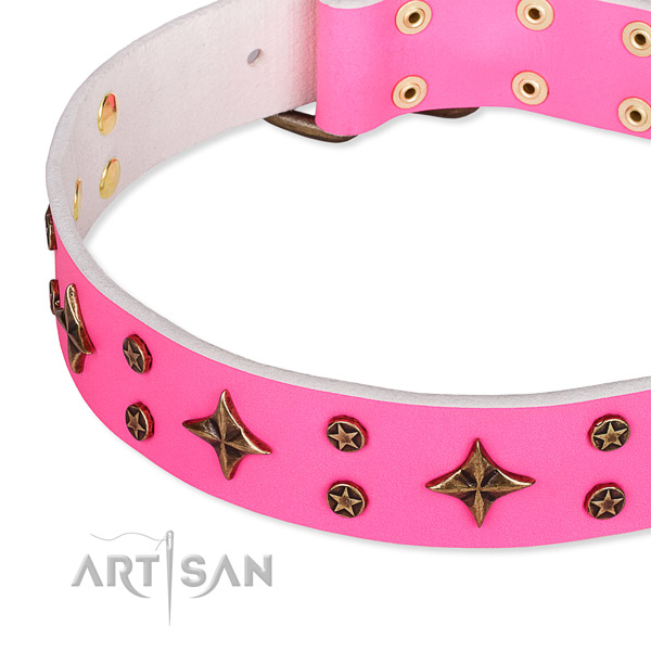 Full grain natural leather dog collar with amazing adornments