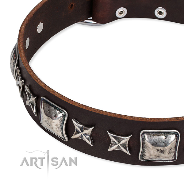 Natural genuine leather dog collar with studs for walking