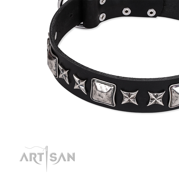 Full grain natural leather dog collar with stunning studs