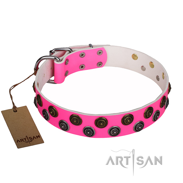 Exceptional genuine leather dog collar for walking