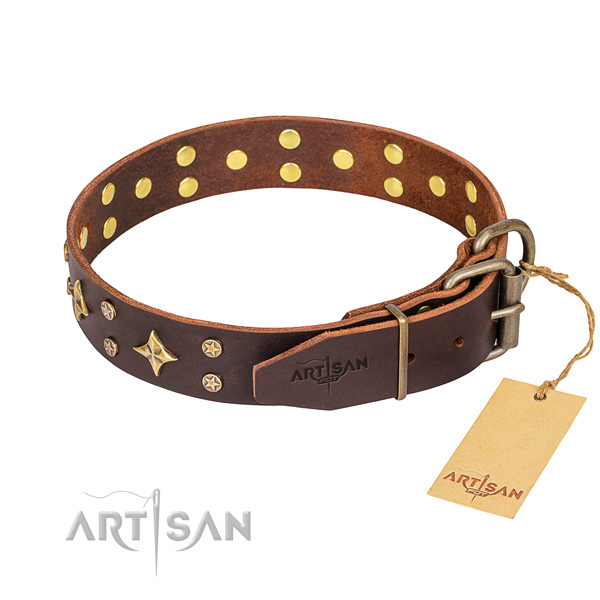 Daily use full grain leather collar with decorations for your four-legged friend