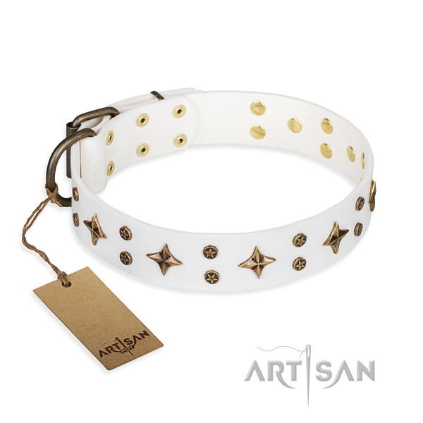 Extraordinary leather dog collar for daily walking