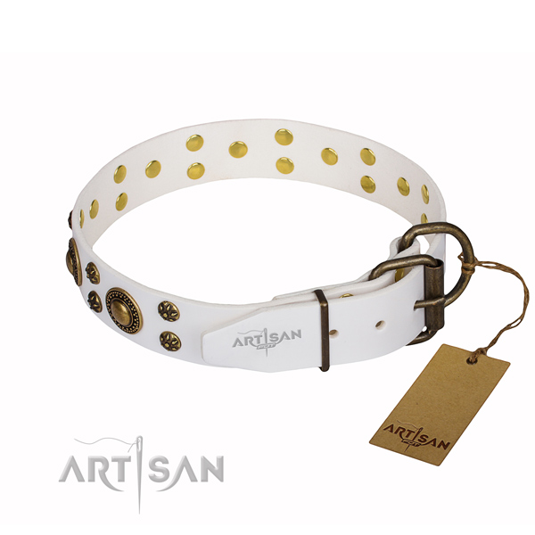 Top notch full grain leather dog collar for everyday walking