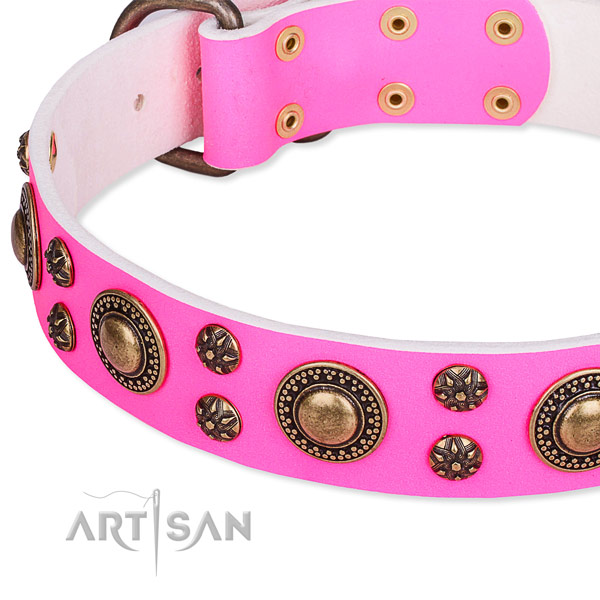 Natural genuine leather dog collar with unusual embellishments