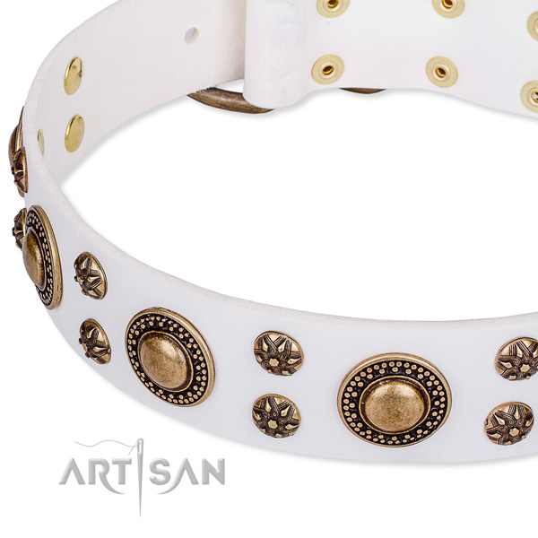 Leather dog collar with stunning decorations