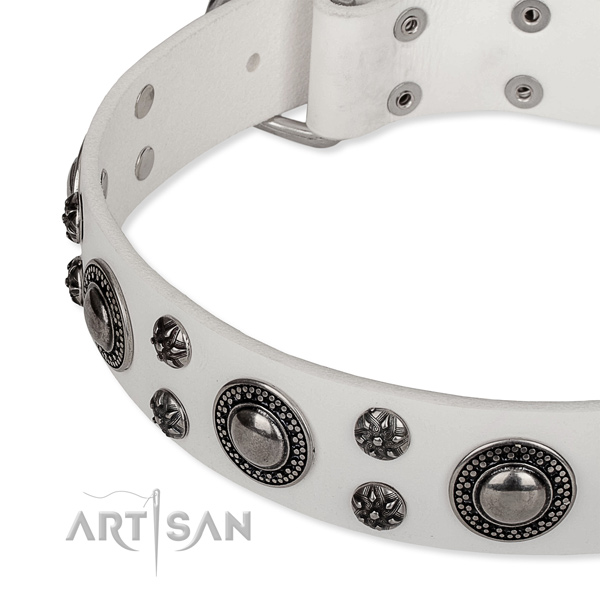 Stylish walking genuine leather collar with strong buckle and D-ring