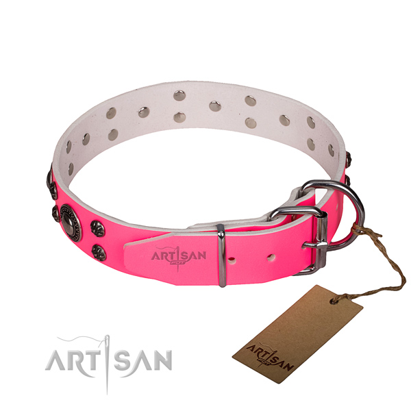 Everyday walking full grain natural leather collar with reliable buckle and D-ring