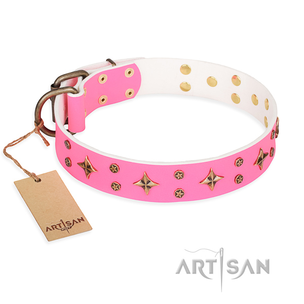 Awesome full grain genuine leather dog collar for everyday use