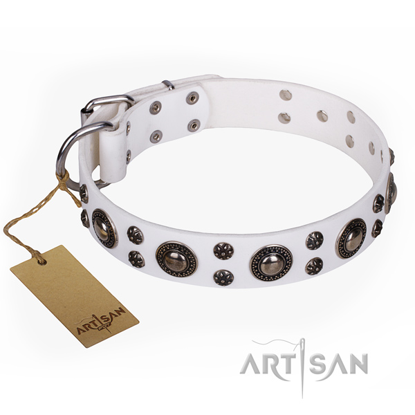 Significant leather dog collar for daily use