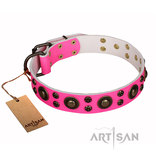 Unusual leather dog collar for walking