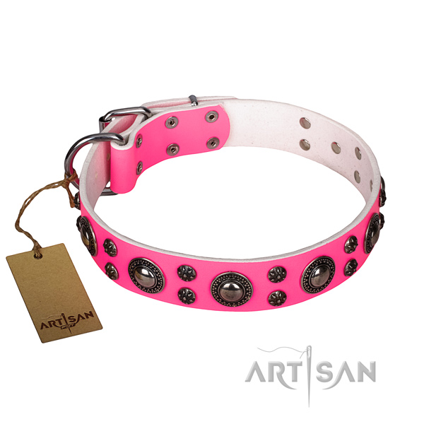 Inimitable genuine leather dog collar for daily use