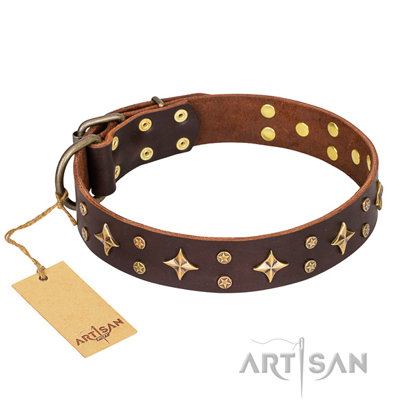 Trendy full grain leather dog collar for everyday use