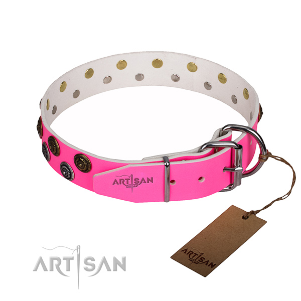 Daily use full grain genuine leather collar with studs for your four-legged friend