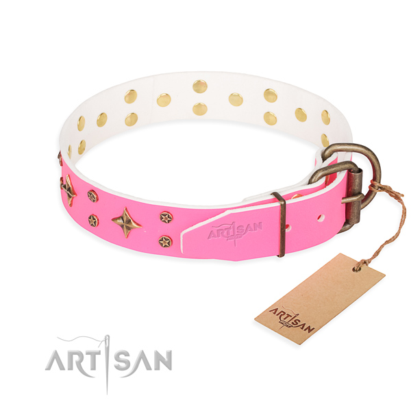 Walking leather collar with studs for your dog