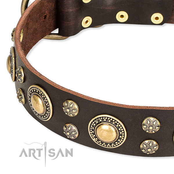 Leather dog collar with impressive adornments