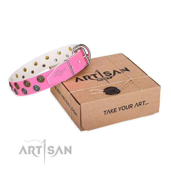 Embellished leather dog collar for everyday walking