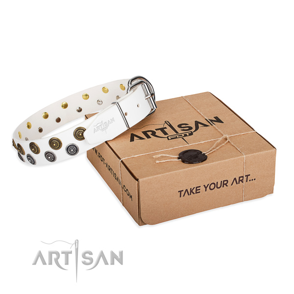 Full grain natural leather dog collar with decorations for walking