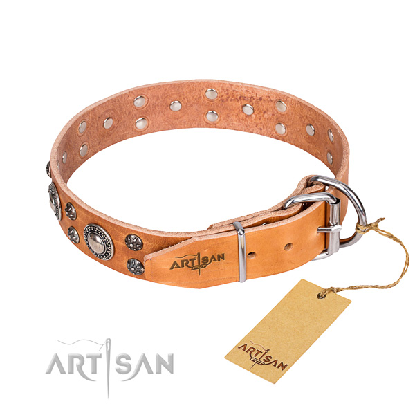 Handy use leather collar with adornments for your four-legged friend