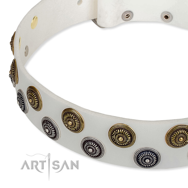 Genuine leather dog collar with exceptional decorations
