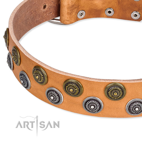 Genuine leather dog collar with trendy studs