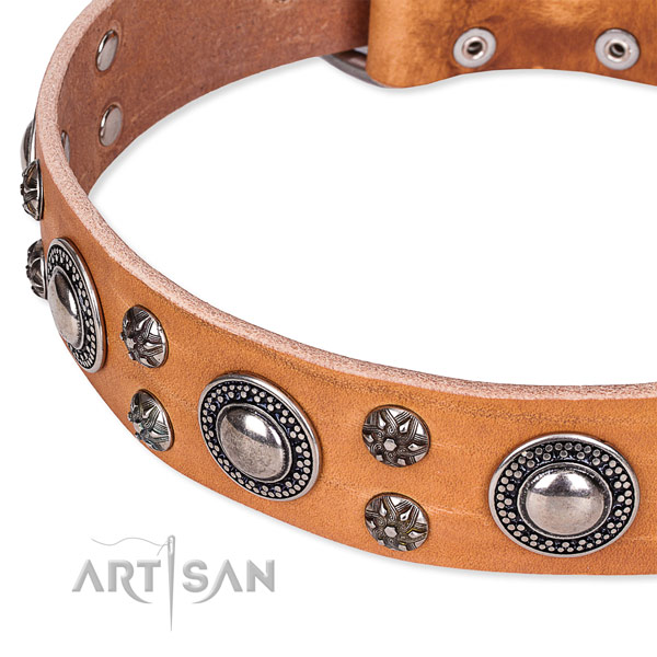 Stylish walking natural genuine leather collar with corrosion resistant buckle and D-ring