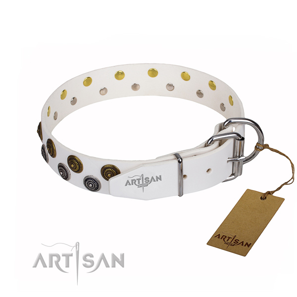 Everyday walking leather collar with decorations for your canine