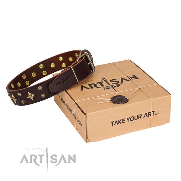 Adorned full grain genuine leather dog collar for stylish walks