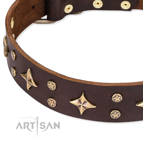 Full grain genuine leather dog collar with incredible studs