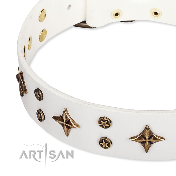 Full grain natural leather dog collar with impressive embellishments