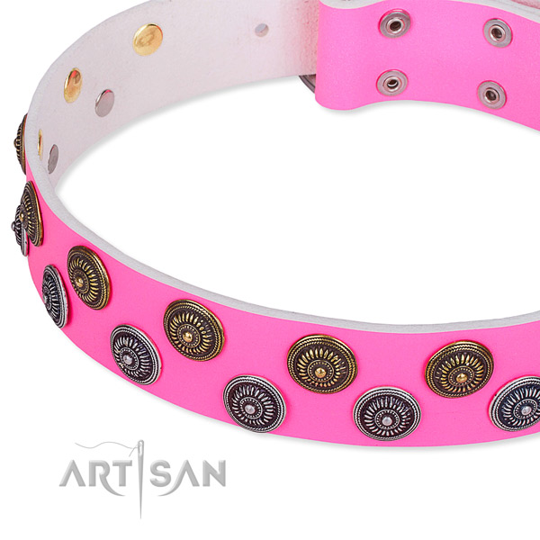 Full grain leather dog collar with top notch embellishments