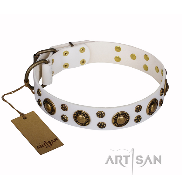 Everyday use genuine leather collar with studs for your pet