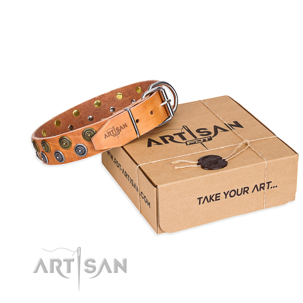 Full grain leather dog collar with embellishments for daily walking