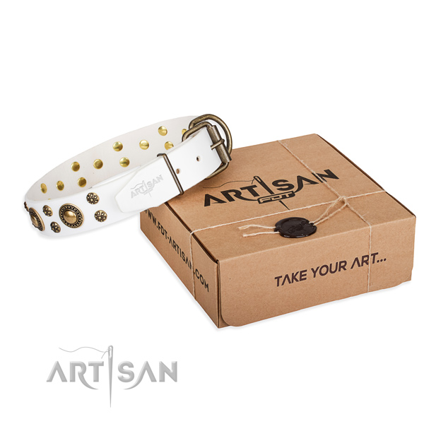 Leather dog collar with studs for stylish walking