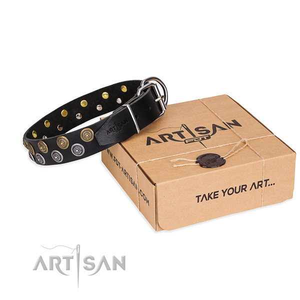 Full grain leather dog collar with decorations for daily walking