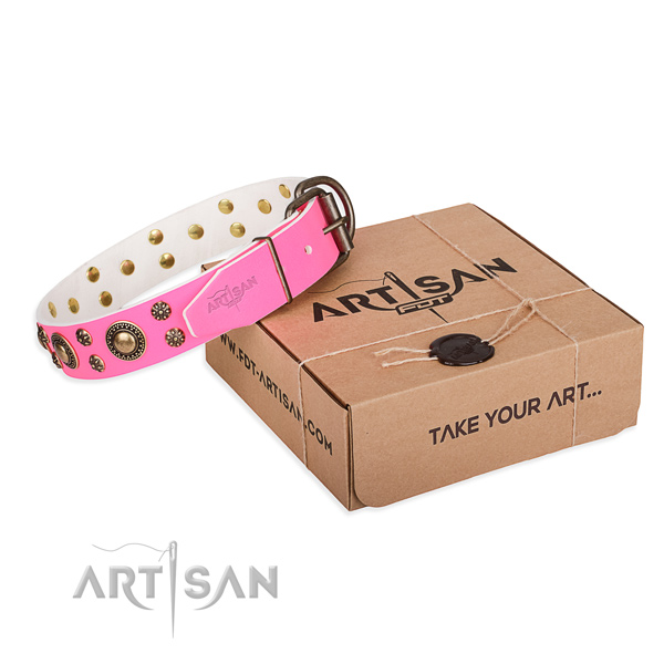 Genuine leather dog collar with adornments for everyday walking