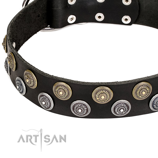 Natural genuine leather dog collar with extraordinary adornments