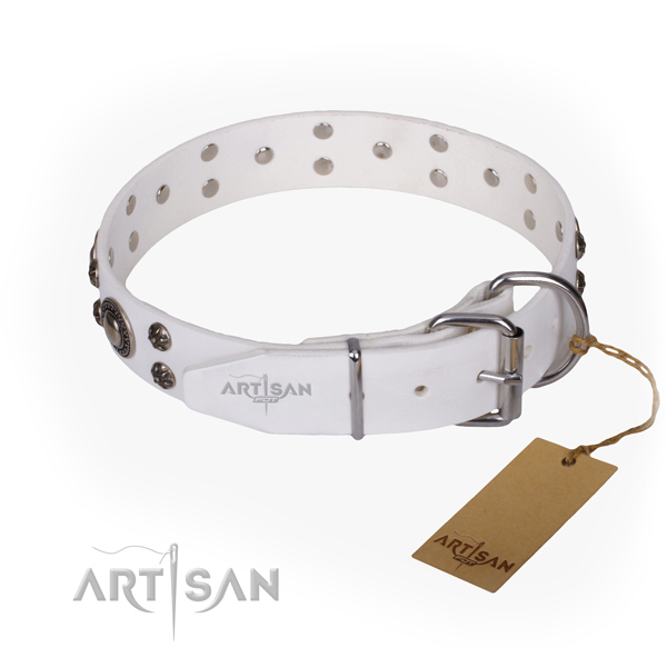 Everyday walking leather collar with studs for your pet
