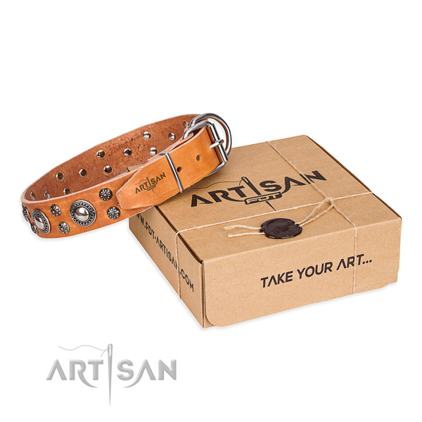 Top quality genuine leather dog collar for walking