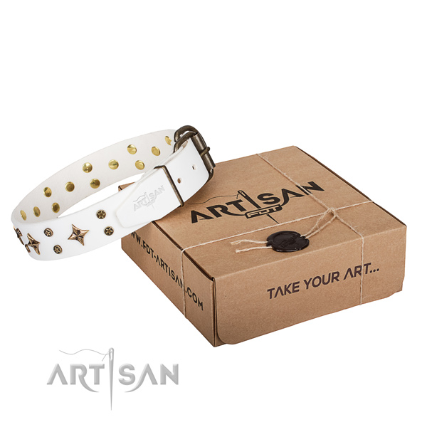 Adorned leather dog collar for stylish walking