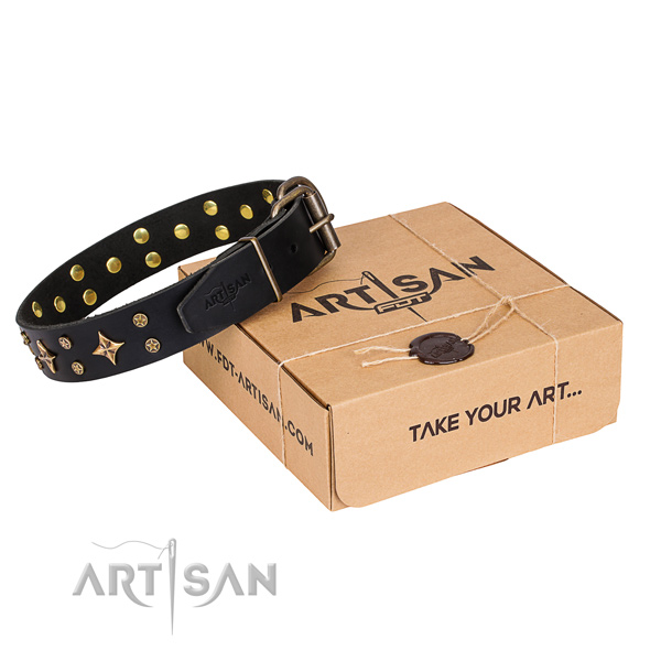 Adorned full grain natural leather dog collar for everyday walking