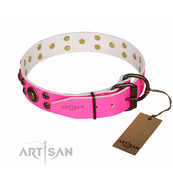 Everyday walking genuine leather collar with adornments for your canine