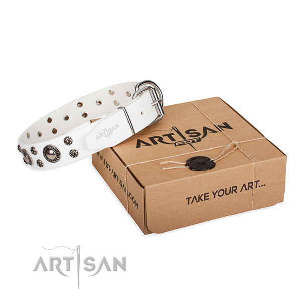 Stylish full grain leather dog collar for stylish walks