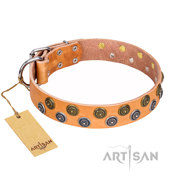 Significant genuine leather dog collar for handy use