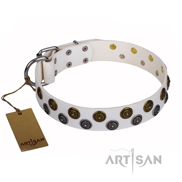 Unusual natural genuine leather dog collar for daily use