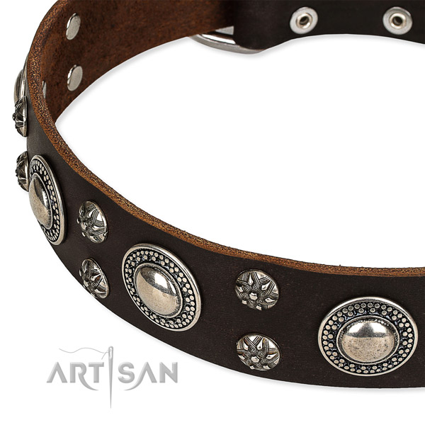 Quick to fasten leather dog collar with extra sturdy durable buckle and D-ring