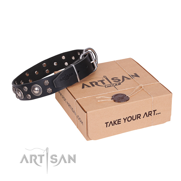 Durable leather dog collar with non-rusting details