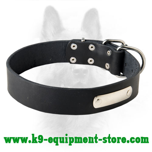 Leather Collar for K9 Identification