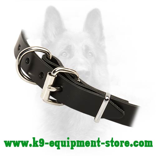 K9 Dog Collar With Rust Resistant Hardware