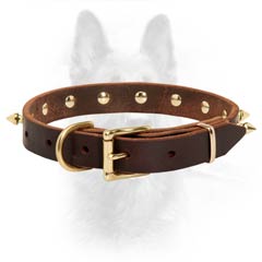 K9 Dog Collar With Brass Spikes Riveted For More  Durability